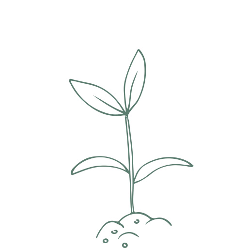 Step4