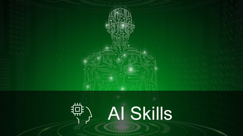 Exp-CIO_ai-skills_2