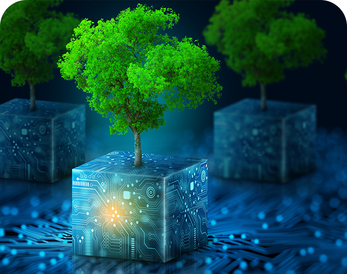 TrasformazioneDigitaleGreen